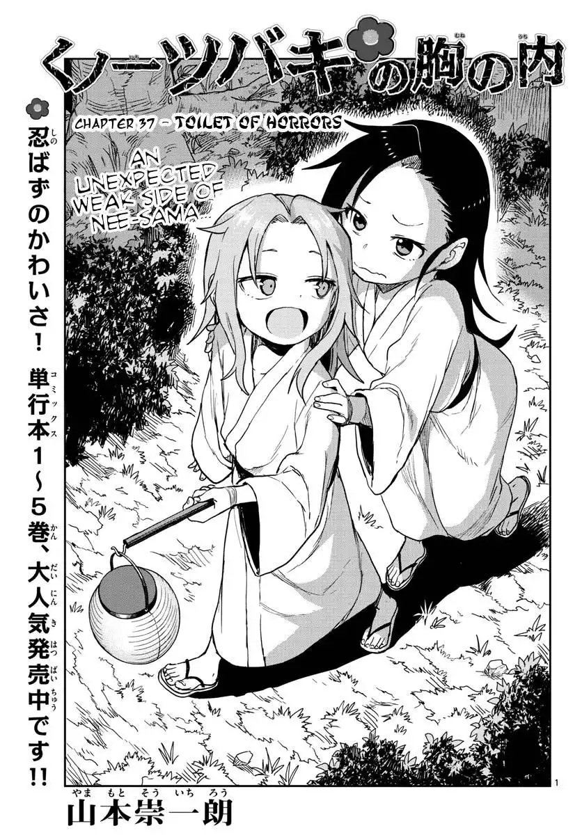 Kunoichi Tsubaki no Mune no Uchi Chapter 37 2